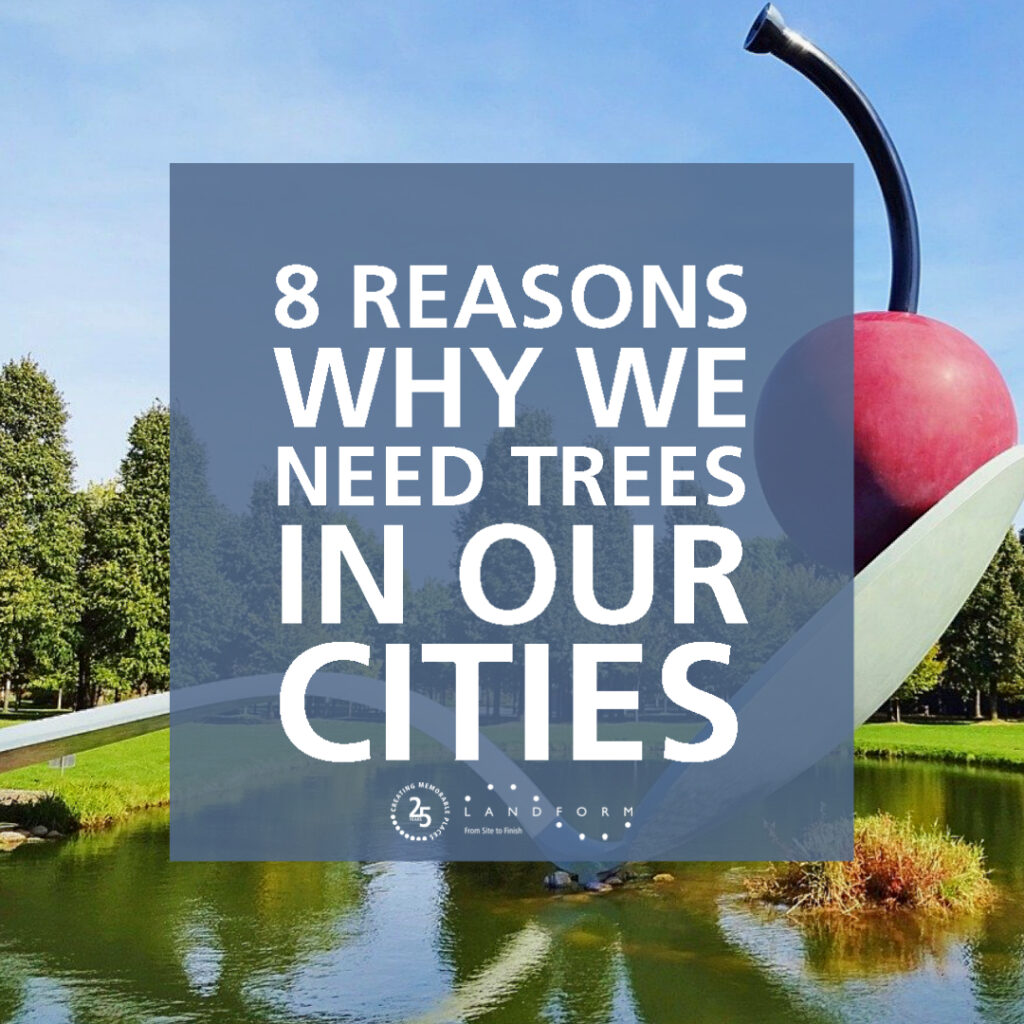 https://citygreen.com/blog/8-reasons-why-we-need-trees-in-our-cities/
