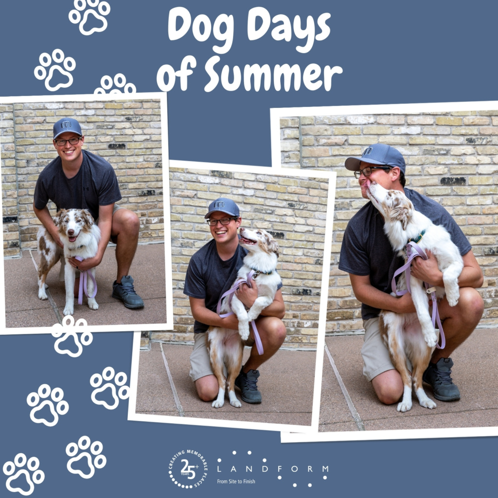 Dog Days Summer Landform Minneapolis Minnesota Hiring